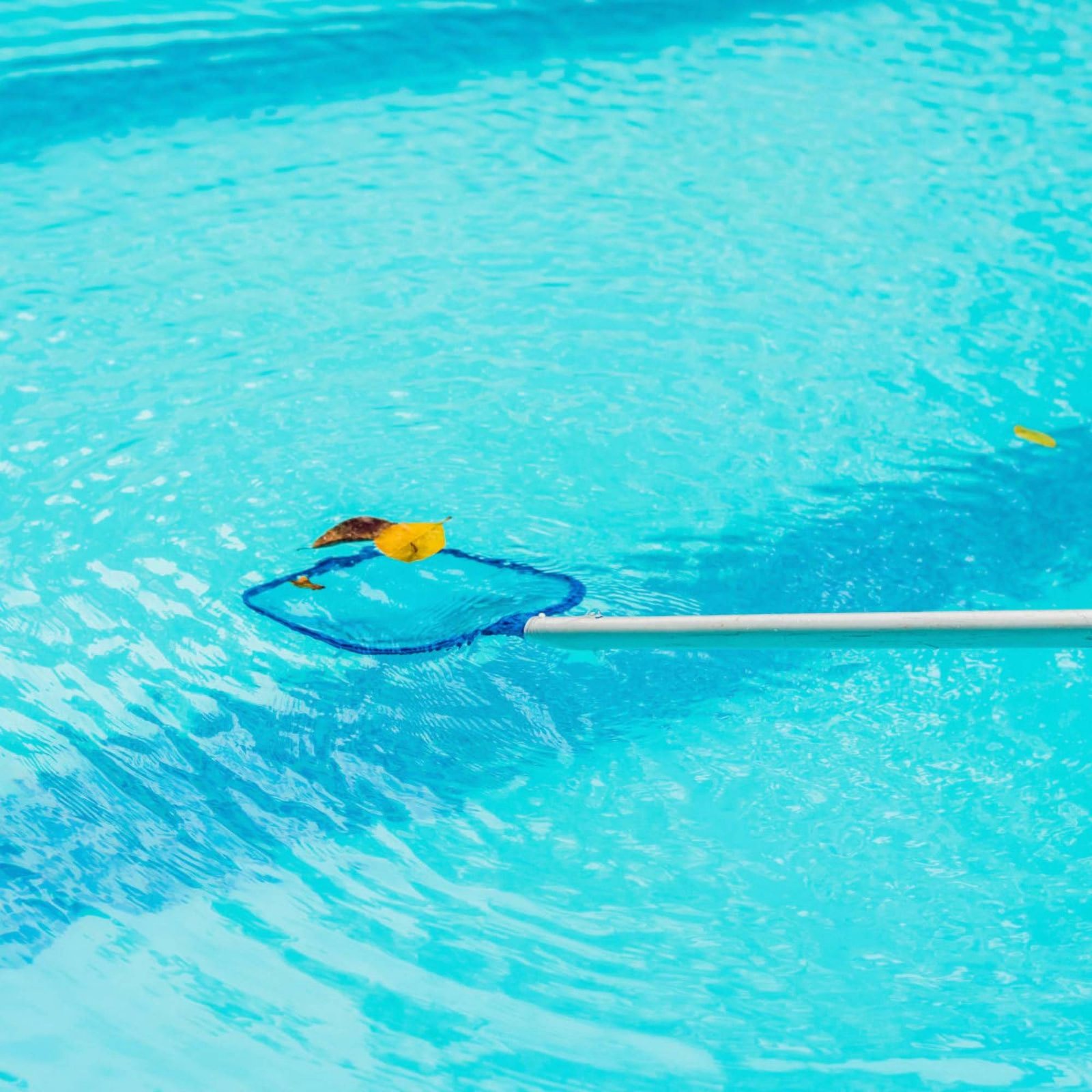 Épuisette de piscine détachabl - Pool Skimmer Net avis et prix