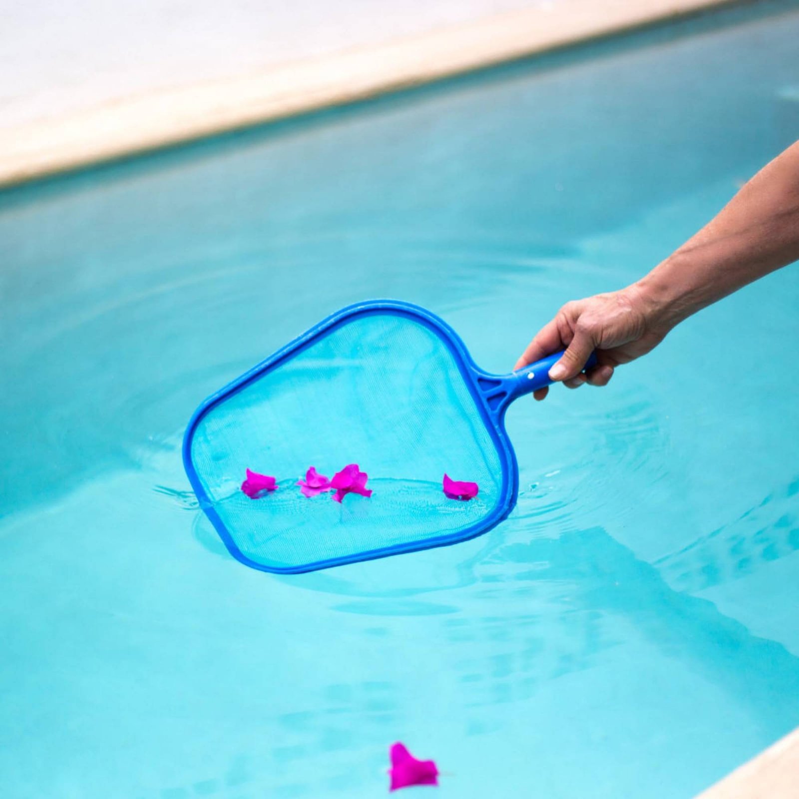Épuisette de piscine détachabl - Pool Skimmer Net avis et prix